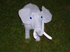 elefant24_s